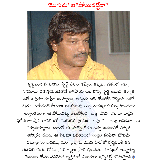 director krishna vamsi,krishna vamsi latest movie mogudu shelved,krishna vamsi trying start another movie with a young hero,mogudu producer nallamalupu bujji also silent about mogudu movie  director krishna vamsi, krishna vamsi latest movie mogudu shelved, krishna vamsi trying start another movie with a young hero, mogudu producer nallamalupu bujji also silent about mogudu movie